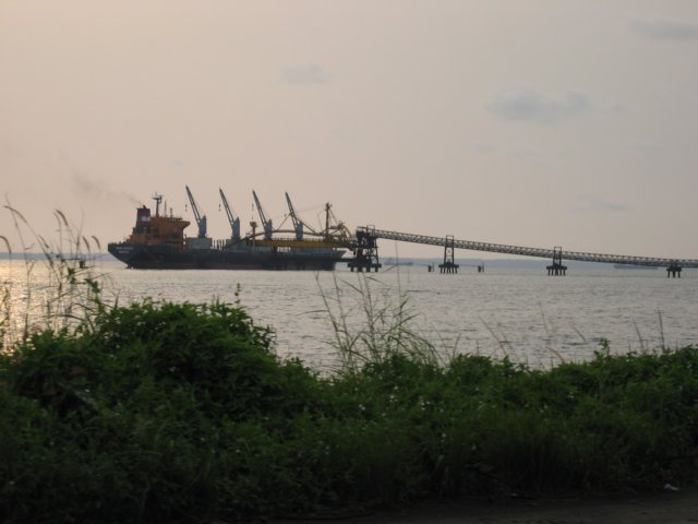 Photograph