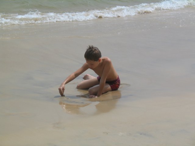 Photograph
